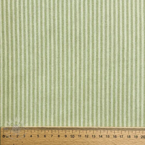 Decoratiestof DOBBY Colored stripe light green