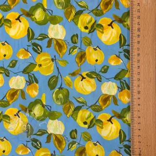 Viscose RAYON POPLIN Fruity design En