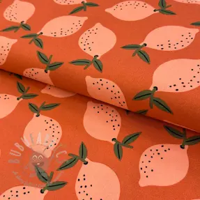 Decoratiestof Fruits design F