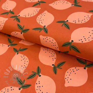 Decoratiestof Fruits design F