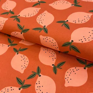 Dekoračná látka Fruits design F