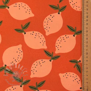 Decoratiestof Fruits design F