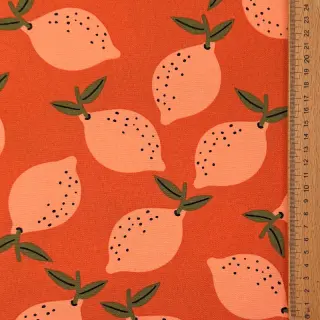 Dekoračná látka Fruits design F