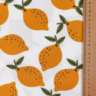 Dekoračná látka Fruits design E