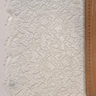 Kant Scallop off white