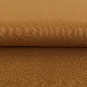 CANVAS mustard