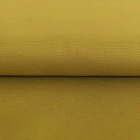 CANVAS curry