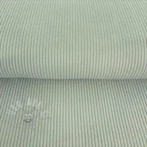 Ribfluweel mint