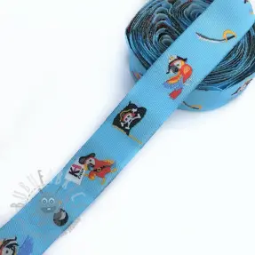 Lint Pirate light blue