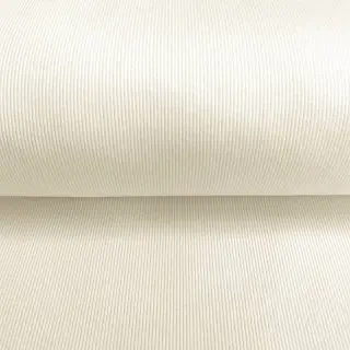Patent RIB ecru ORGANIC