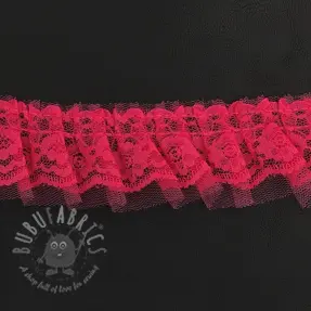 Kant fuchsia