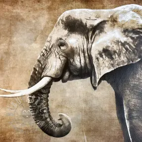 Kunstleer KARIA Elephant PANEL