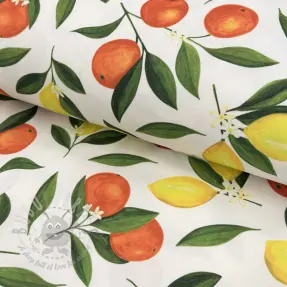 Decoratiestof met teflonbehandeling Citrus Fruit