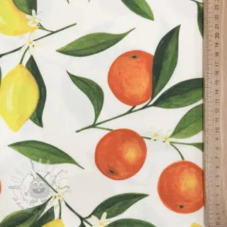 Decoratiestof met teflonbehandeling Citrus Fruit