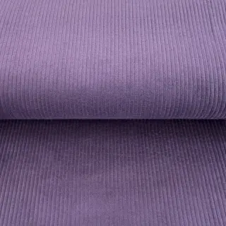 Menčester grape